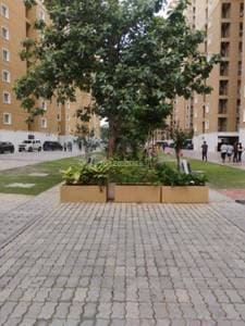 2 BHK Flat for Rent in OMR, Chennai