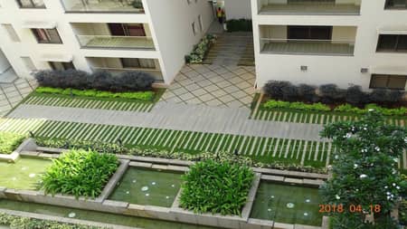 3 BHK Flat for Rent in Sarjapur Road, Bangalore
