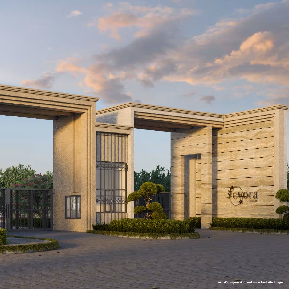 Explore Projects