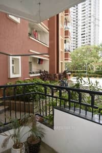 2 BHK Flat for Rent in Whitefield, Bangalore